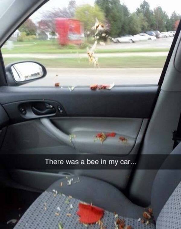 Bee In My Car