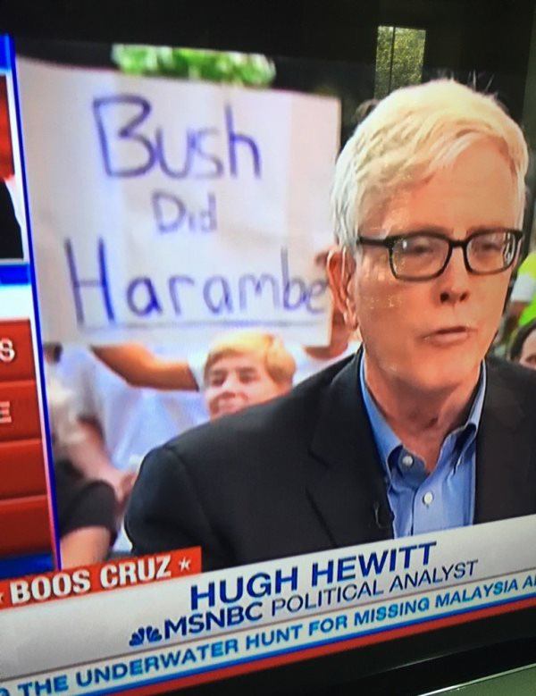 Bush Did Harambe
