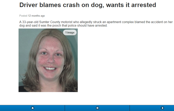 Dog Driver Arrest