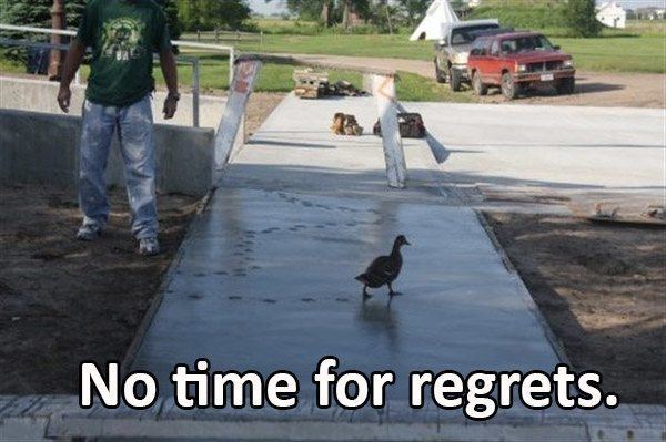 Duck Regret