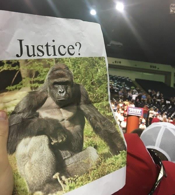Justice For Harambe