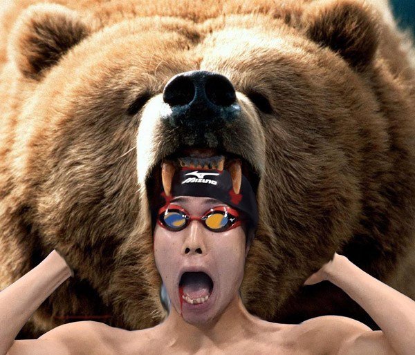 Kosuke Hagino Swim Cap Bear Attack