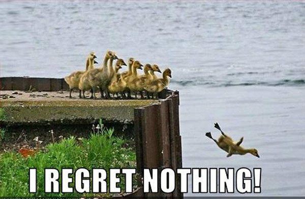 Regret Nothing Duckling
