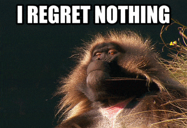 regret-nothing-monkey.gif