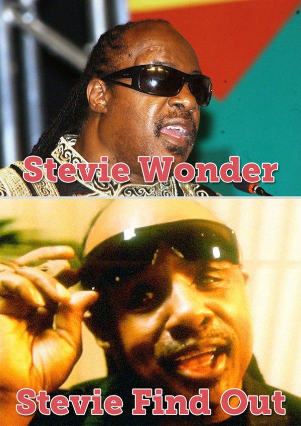Stevie Wonder Pun
