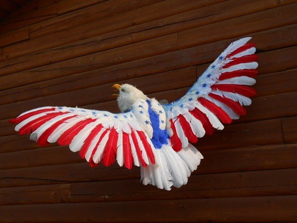 America Eagle Taxidermy Fails