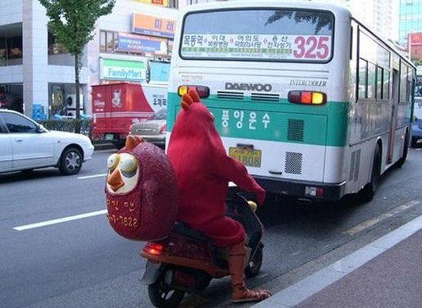 Chicken Costume Delivery