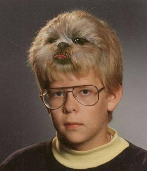 Dog Head Kid Dumb Photoshops