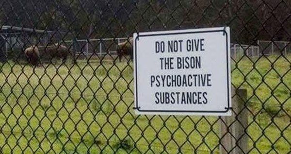 Funny Weird Signs