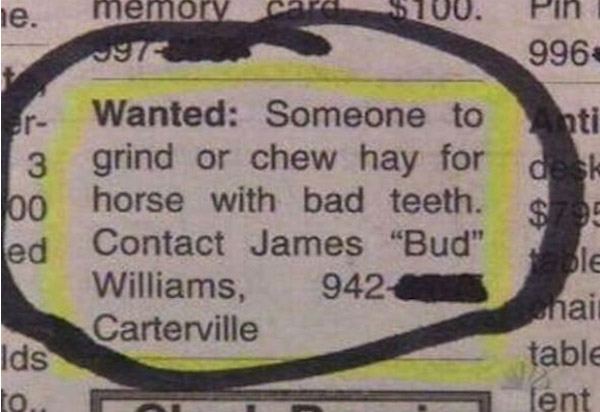 Horse Chrew Ad