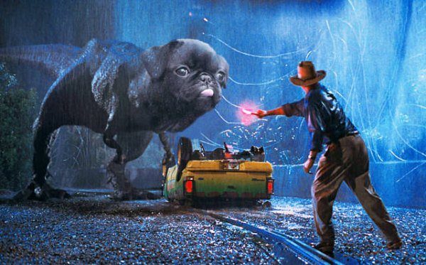 Jurassic Pug Funny Photoshops