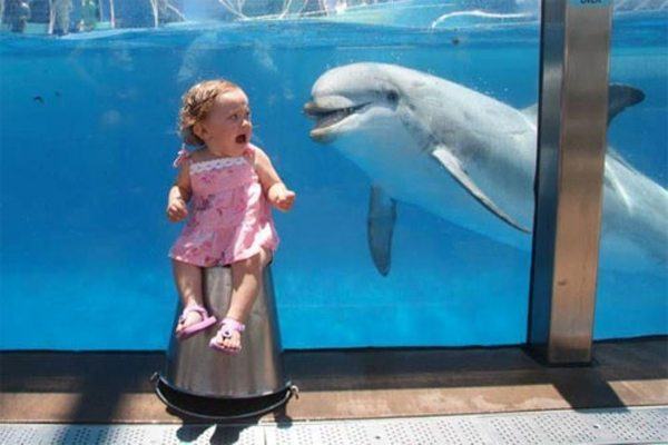 Kid Scared Of Dolphin