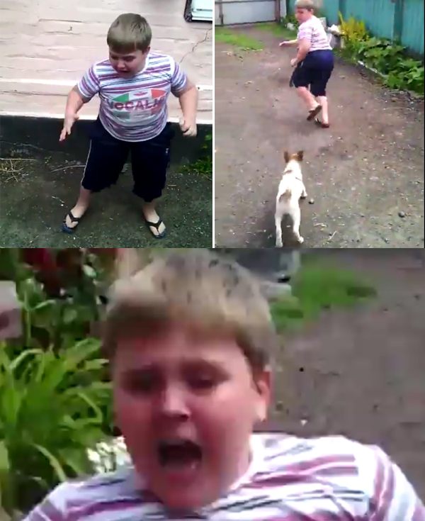 Kid Scared Of Puppy