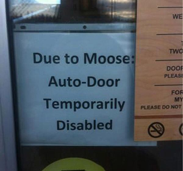 Moose Auto Door