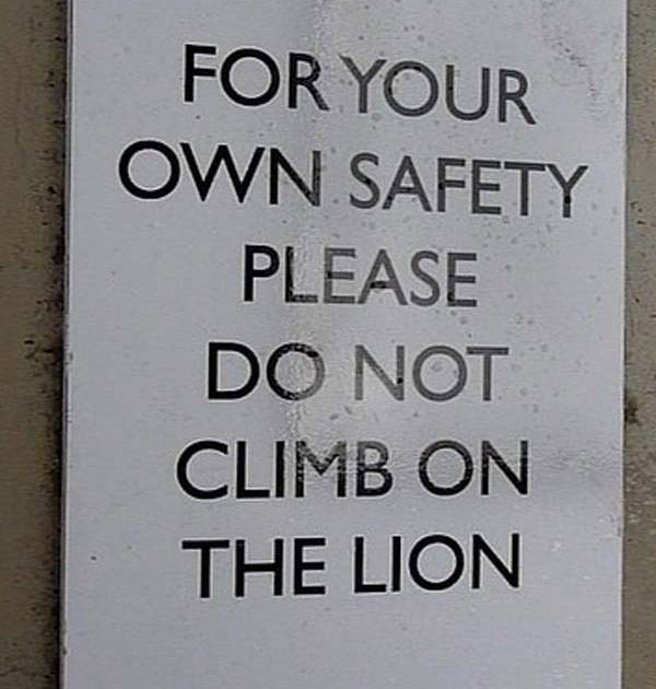 No Lion Climbing
