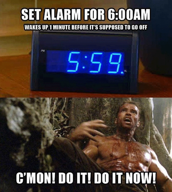 Arnold Waking Up Alarm