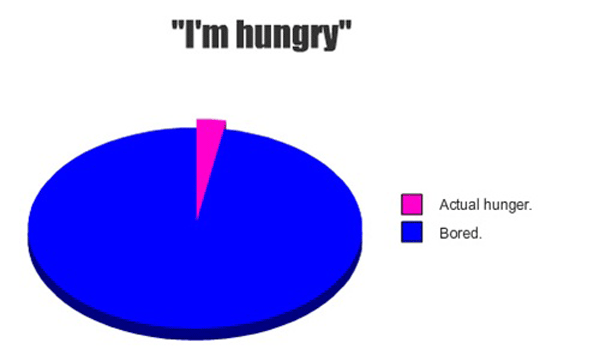 Hunger Pie Chart