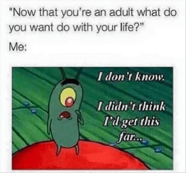 Plankton Adult Life