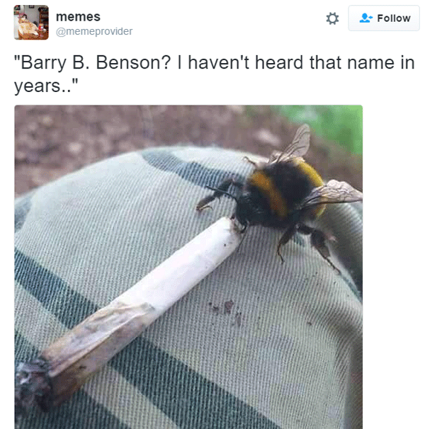 Barr B Benson Smoking
