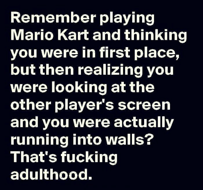 Mariokart Adulting