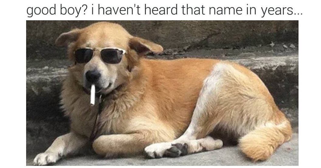 39 Instagram Memes That Will Tickle Your Funny Bone