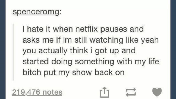 Netflix Is Life