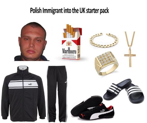 Polish Immigrant Starter Pack