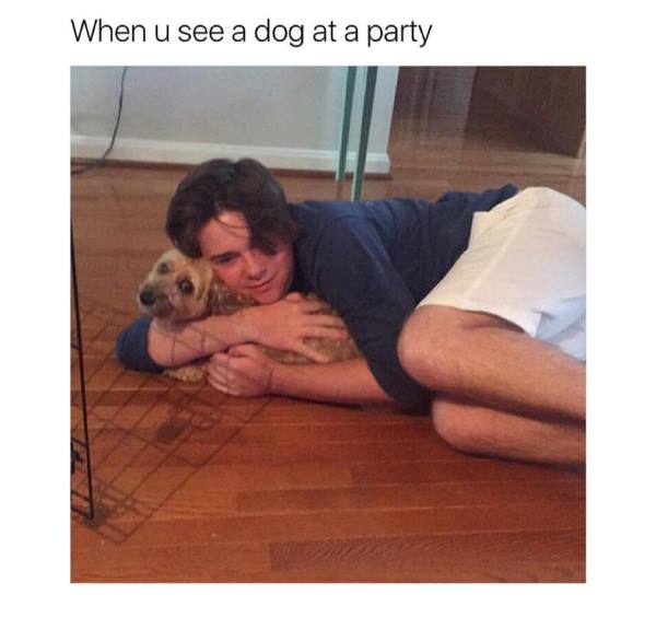 Seeing A Dog At A Party Meme