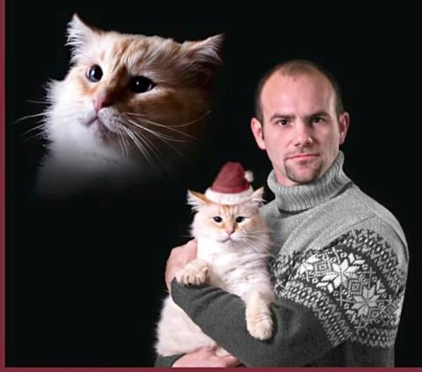 Awkward Christmas Cards Cat Mas