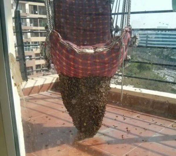Bee Chair