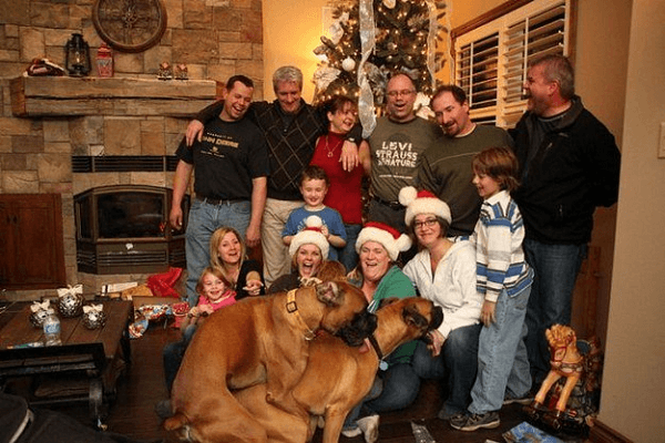 Dogs Ruin Christmas Photo