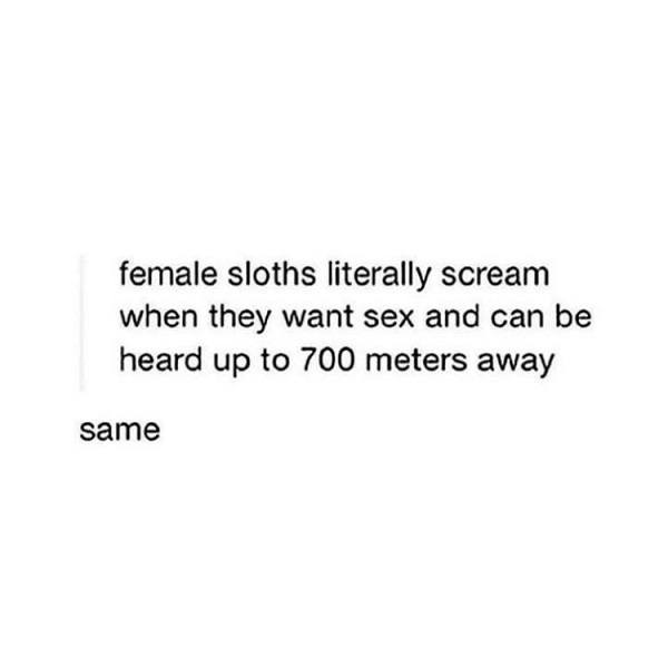 Female Sloths Scream
