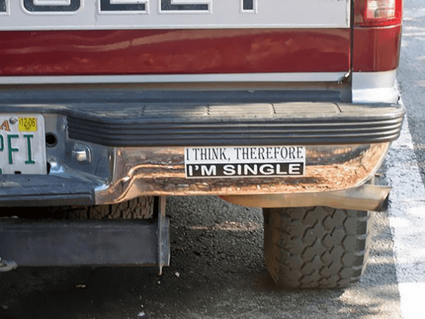 Reasons You Are Single Funny Bumper Stickers