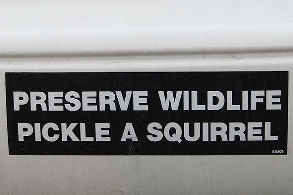 Way To Preserve Wildlife Funny Bumper Stickers