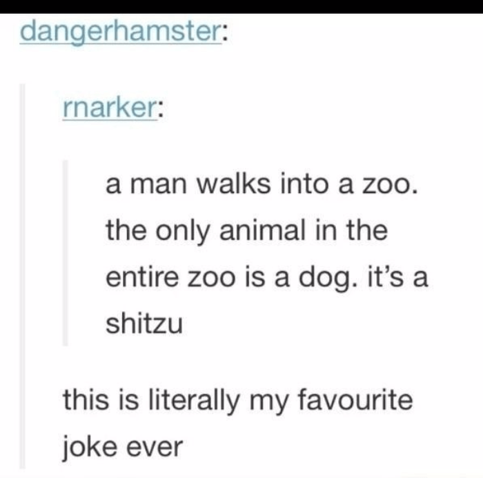 Zoo Hilarious Puns