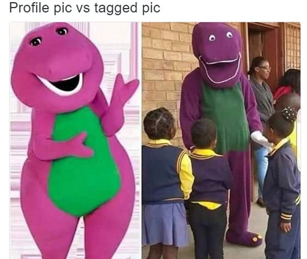 Barney Profile V Tagged