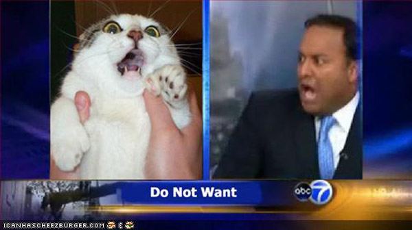 Do Not Want Cat News