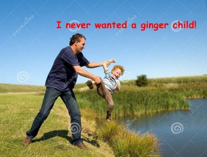 Never Wanted A Ginger