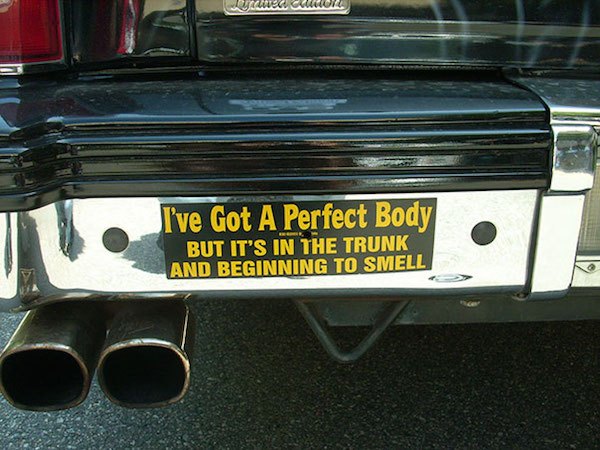 Funny Bumper Stickers Perfect Body