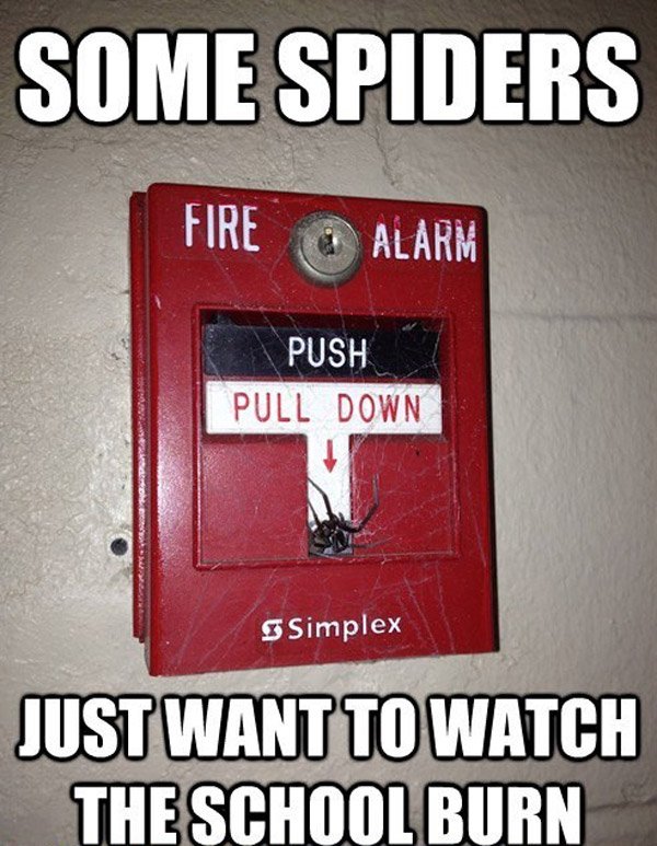 Spider Fire Alarm