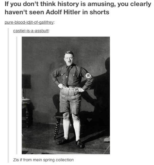 Hitler In Shorts History Memes