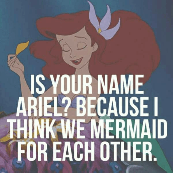 Ariel The Princess