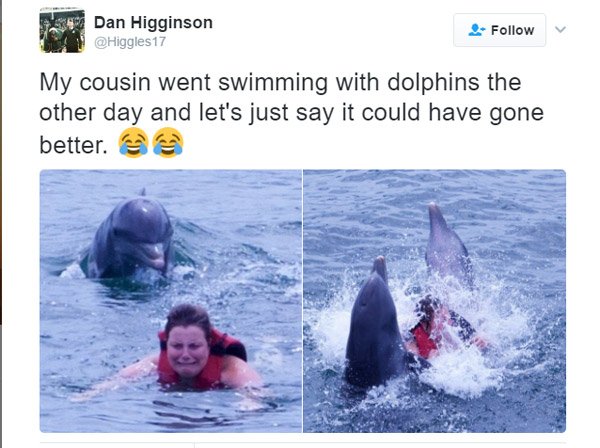 Dolphin Cousin