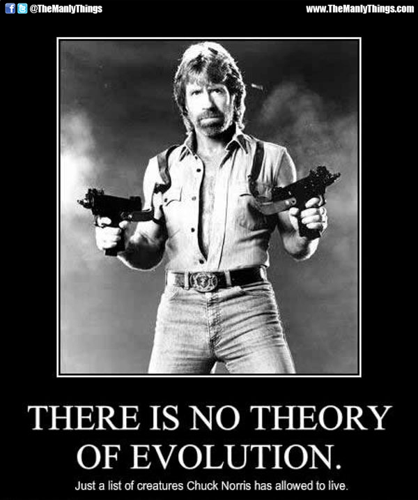 Evolution Chuck Norris Memes