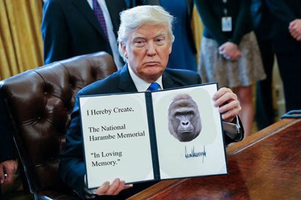 Harambe Donald Trump Executive Order Memes