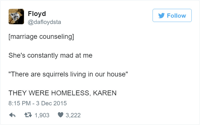Homeless Squirrels Adoption