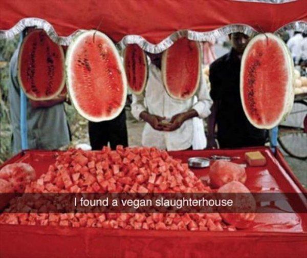 Jokes About Vegans