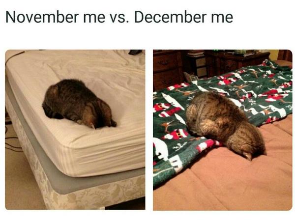 November Me Vs December Me