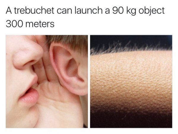 Sexy Trebuchet Memes