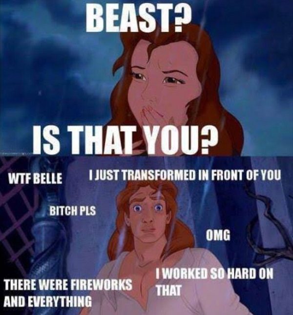 Beauty And The Beast Funny Meme